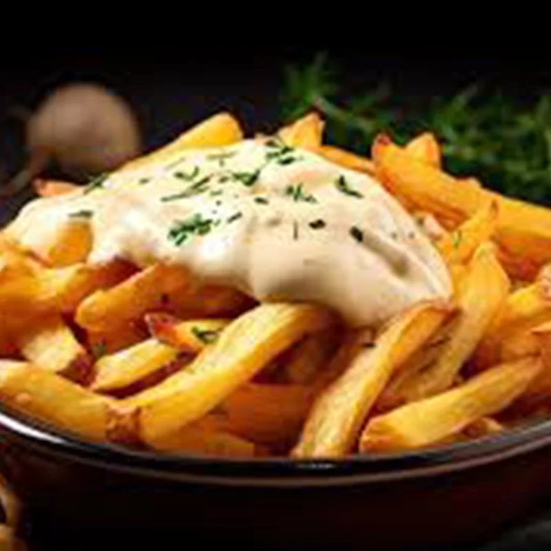 Belgian fries with mayonnaise